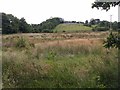 Mullaghmore Townland