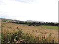 Farmland near Houdston Hill