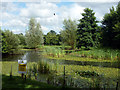 Pond, Bodiam Business Park