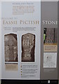 NO3547 : Welcome to Eassie Pictish Stone by M J Richardson