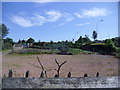 Allotments at Nigg Kirk Road, Aberdeen