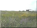 Former trackbed of Sheppey Light Railway