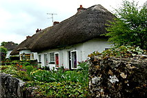 R4646 : Adare - Main Street - Lucy Erridge, The Gallery Cottage by Joseph Mischyshyn