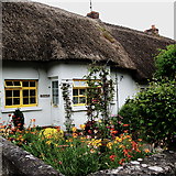 R4646 : Adare - Main Street - Blue & Yellow Cottage Dwelling by Joseph Mischyshyn