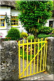 R4646 : Adare - Main Street - Blue & Yellow Cottage Dwelling by Joseph Mischyshyn