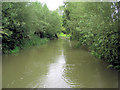 River Windrush from Standlake Road