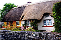 R4646 : Adare Main Street - Yellow, White & Green and White & Red Cottage Dwellings by Joseph Mischyshyn