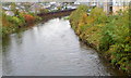 Rhondda Fawr upstream from Tyisaf Road bridge, Gelli