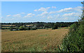 2012 : West over a wheatfield near Tinkersfeld Farm