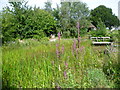 The pond at Tyland barn