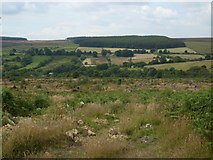 SE7696 : Looking west from Middleton Moor by T  Eyre