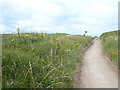 Blundellsands - Footpath to the beach