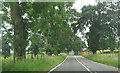 A811 eastbound approaching Arngibbon track