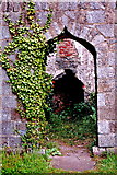 R4646 : Adare - Adare Manor Grounds - Stone Building Ruins - Entrance & Interior by Joseph Mischyshyn