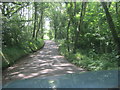 Road from Llanfihangel Nant Bran through Coed Drysiog