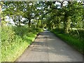 Evening sunshine on the road to Lanegreen