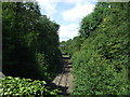 Railway towards Coalville