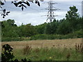 Farmland, Chestnut Farm