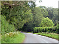 Vann Road near Westcroft Farm