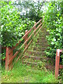 Steps leading out of Maghull Park