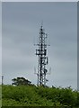 NG5534 : Telecoms mast by James Allan