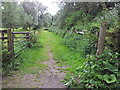 Footpath towards the River Stour, Sudbury