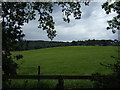 Farmland, Oaks in Charnwood