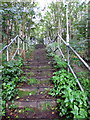 Steps up to the A43