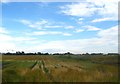 A field at Moss Nook farm