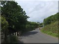 Cattle grid on Meldon Road, Chagford