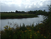 SK4430 : River Trent near Shardlow by JThomas