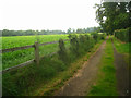 Footpath to Churchyard