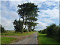 TF7442 : Trees on the brow of the hill, Choseley Road near Thornham by Richard Humphrey