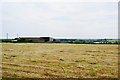 Field of cut grass near Hersden