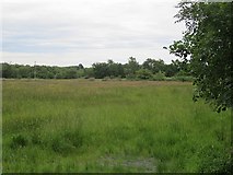 G6125 : Field near Coolaney by Richard Webb