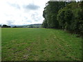 Field edge path near Old Wigau Farm