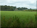 Long distance view to Pekes Oast House at Pekes farm