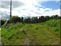 Track and gate leading in to the fields