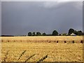 Storm clouds gather over partially-harvested wheat fields