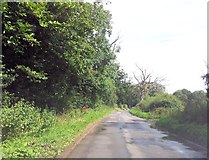TM0162 : Plashwood Road just outside Wetherden by Helen Steed