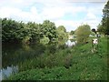 River Avon SW of Bidford upon Avon