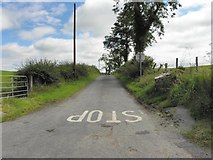 H4078 : Minor road, Gortnacreagh by Kenneth  Allen