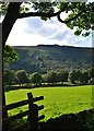 View from New Road to Win Hill near Yorkshire Bridge