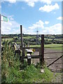 Footpath - Old Hall Road