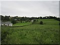 N5072 : Pasture, Clonnageeragh by Richard Webb