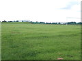 Playing Fields - viewed from The Balk