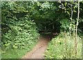 Footpath entering Forestry Commission Land