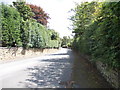 Timothy Lane - viewed from Heaton Road