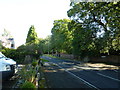 Looking south-east up Dibbinsdale Road