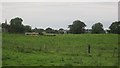 N5579 : Field near Oldcastle by Richard Webb
